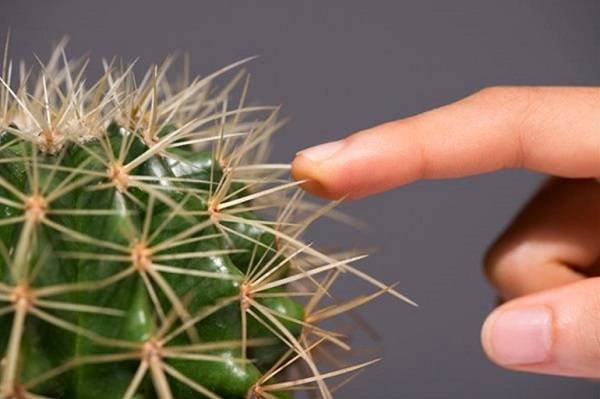 Enhancing the Five Senses