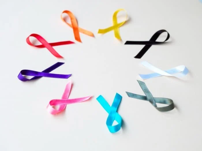 Celery Drug Interactions Gastrointestinal Problems with Celery Consumption