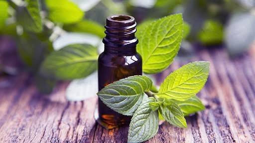 Peppermint Oil