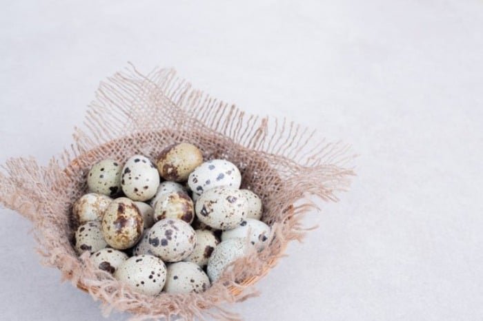 What are the side effects of quail eggs?