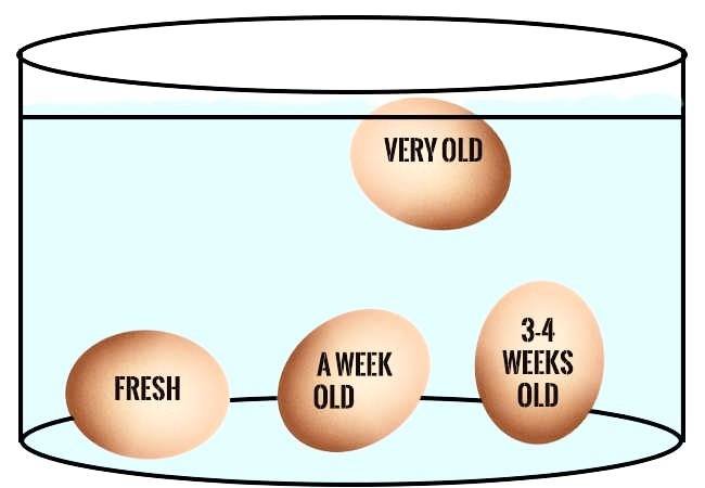 Identifying Egg Age