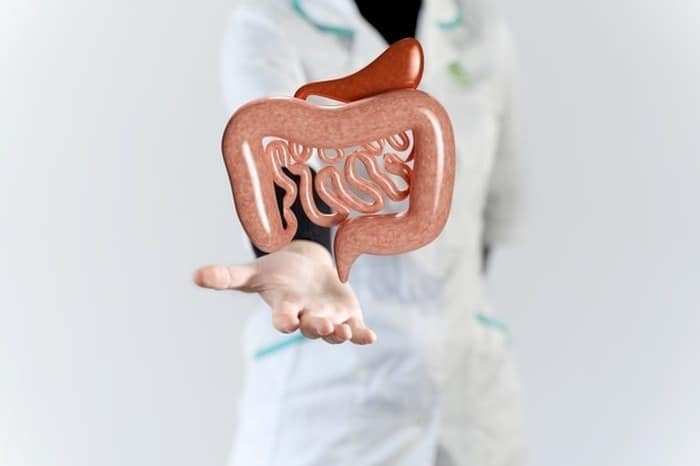 Properties of chocolate