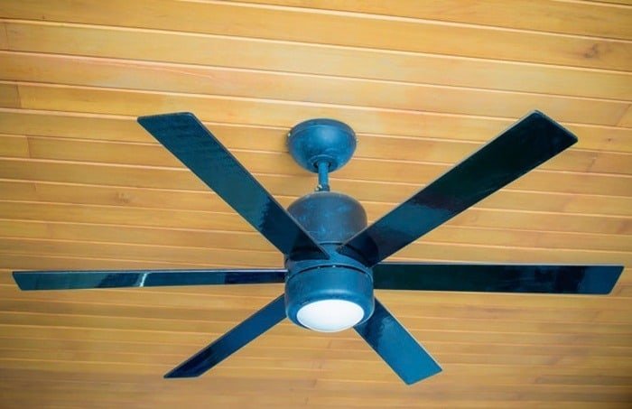 Fan Blades