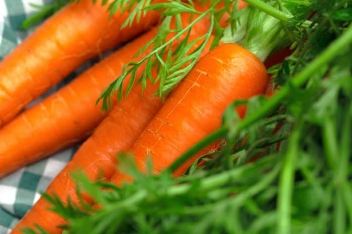 Storing Carrots in the Refrigerator