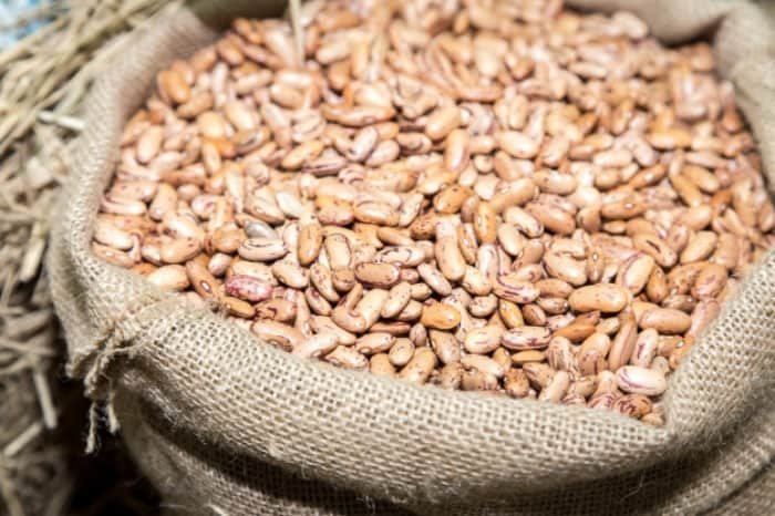Pinto Beans