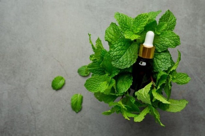 Medicinal plant benefits