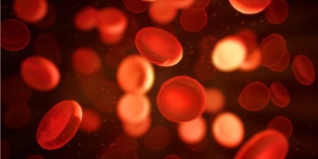Living with GT requires planning and special care. Glanzmann's disease, treatment of Glanzmann's disease