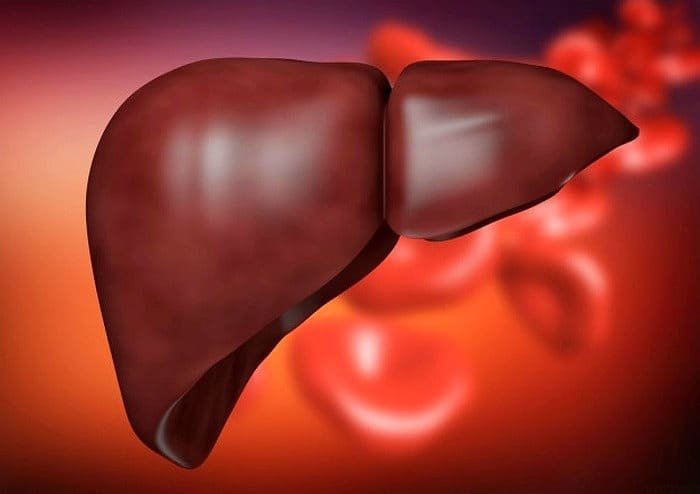 The reason for fatty liver