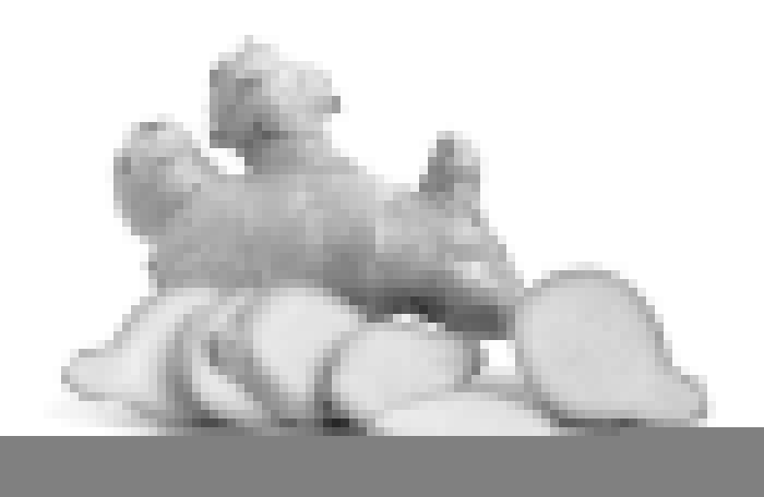 Shoulder Bursitis
