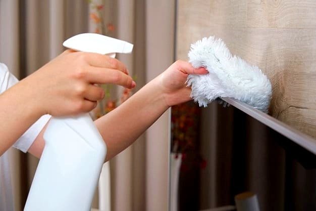 Cleaning the iron