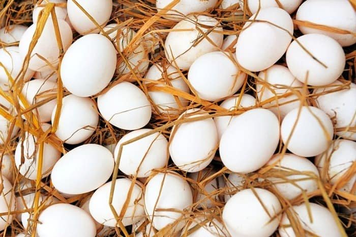 Disadvantages of eggs