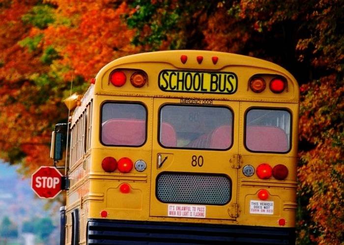 School transport services