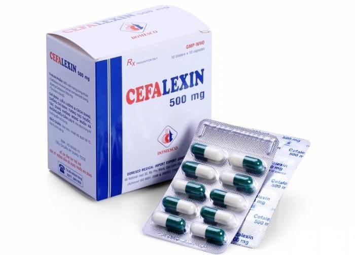 Cephalexin in pregnancy