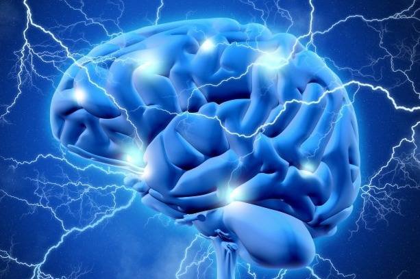 The Brain and Itching