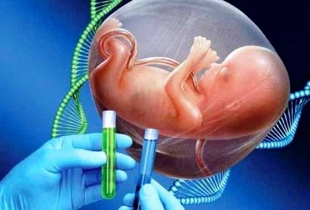 What is a Genetic Counselor
