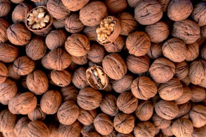 Walnut Kernels