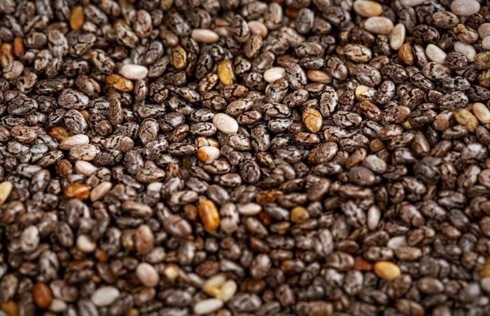 Protein in chia seeds