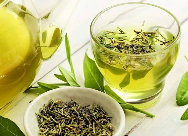 The effect of green tea in lowering cholesterol