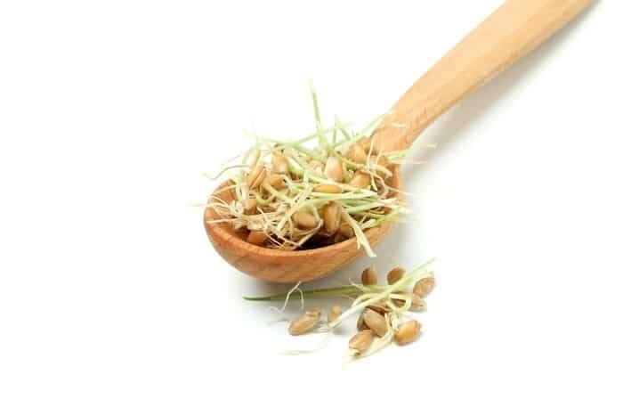 Avoiding Raw Bean Sprouts