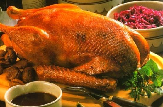 All side effects and benefits of eating goose meat