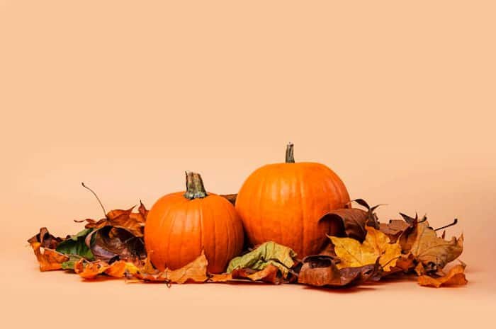 Side effects of excessive pumpkin consumption