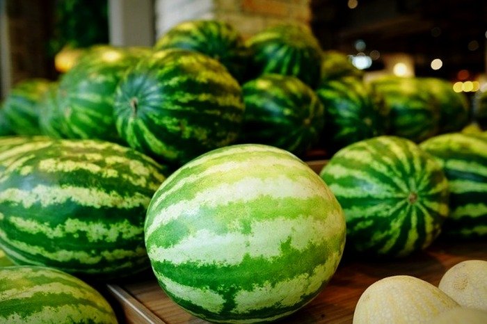 Watermelon Stem