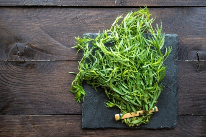 Tarragon for diabetes
