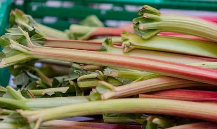 Rhubarb