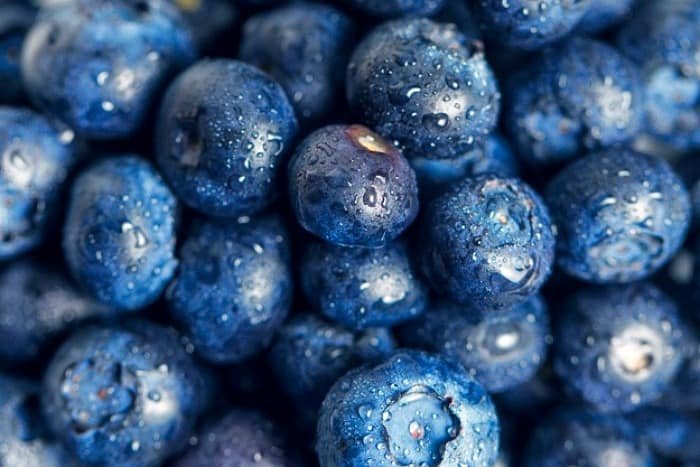 Properties of Blueberries
