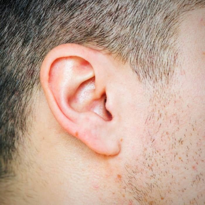 Ear Shape