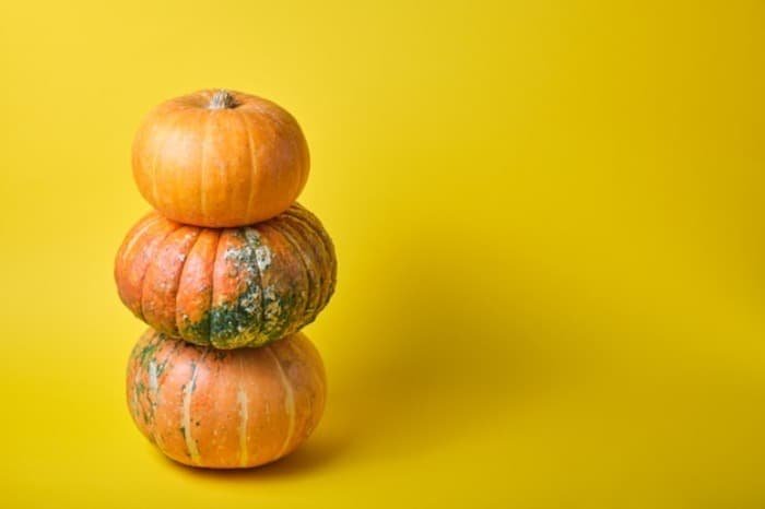 Potassium content of pumpkin