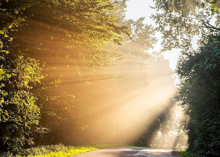 sunlight