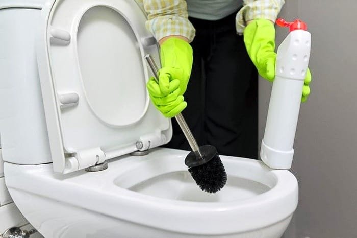 Shining the Toilet