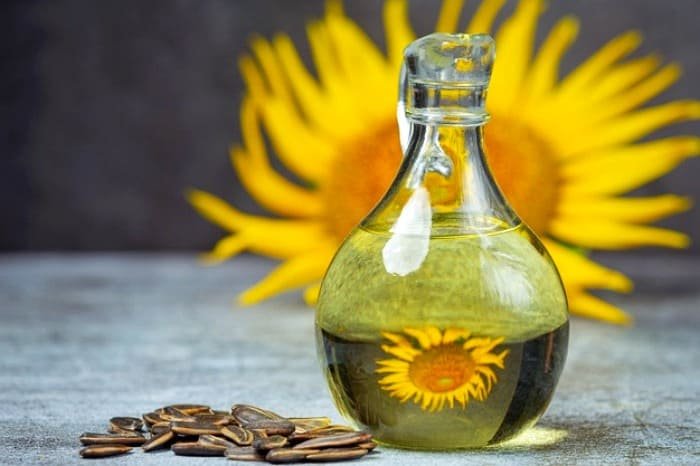 How to grow sunflowers