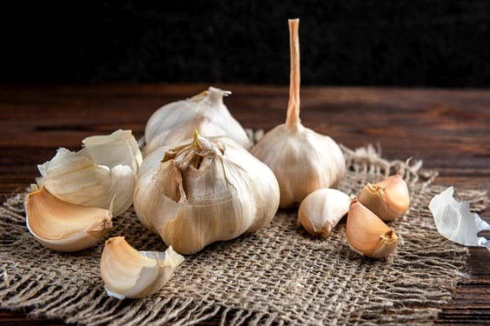 Garlic properties