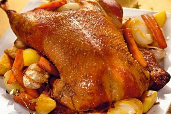 Goose meat for cancer treatment assistance