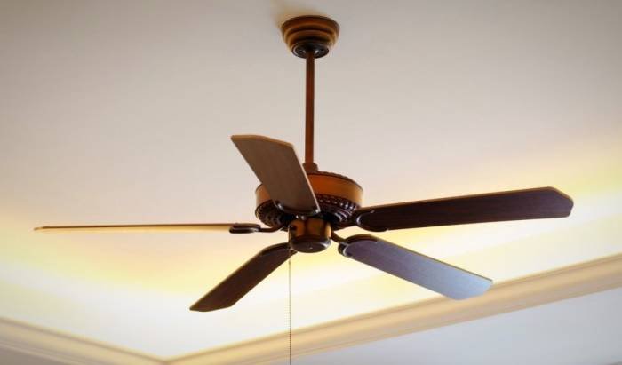Ceiling Fans