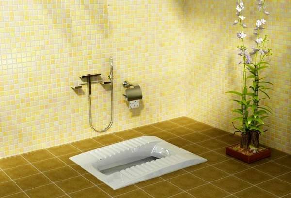 Toilet Clogging
