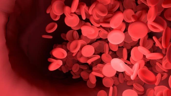 Red Blood Cells