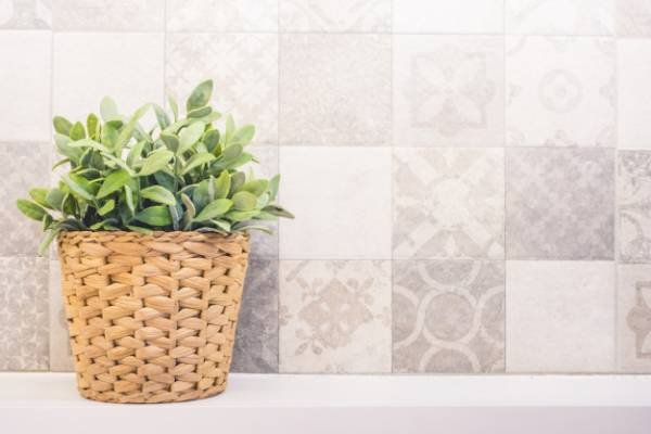 Preventing mildew and fungi on plants