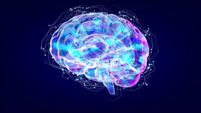 The effects of spring on the brain.