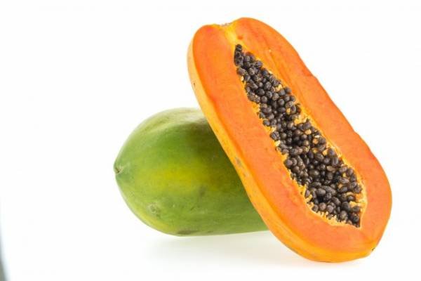 Benefits of castor