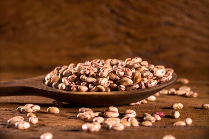 Properties of Pinto Beans