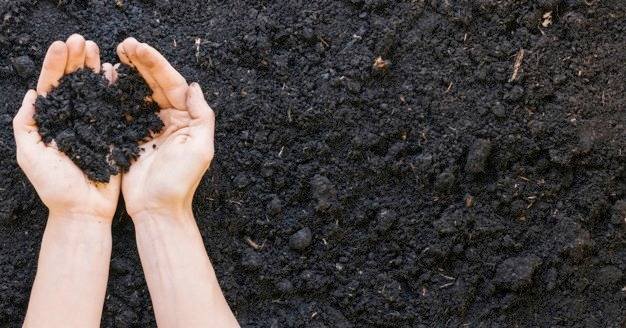 Plant Fertilizer