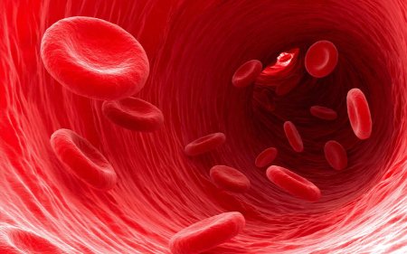 Glanzmann's disease leads to prolonged and severe bleeding. Glanzmann's disease, treatment of Glanzmann's disease