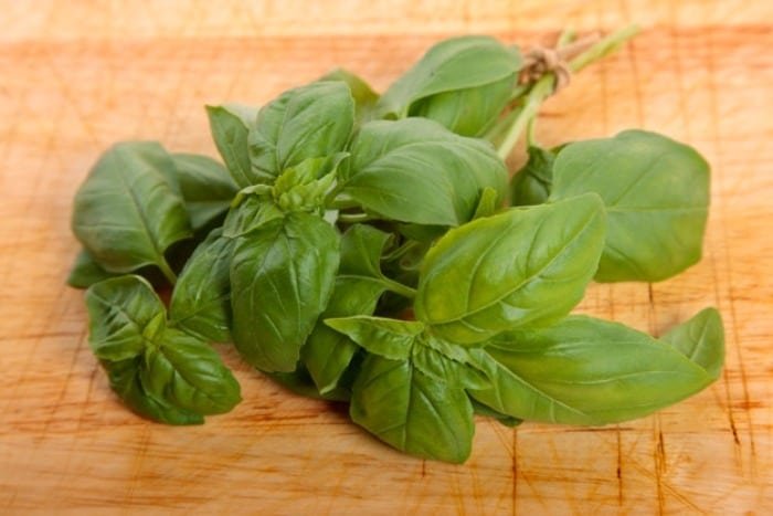 <trans_139></trans_139> <trans_138></trans_138>