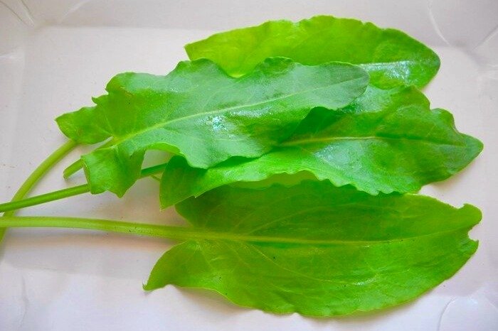 Treatment for iron deficiency