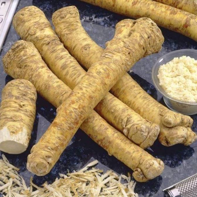 Necessary items for preparing horseradish syrup
