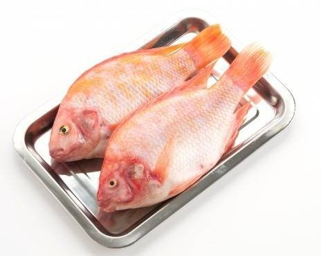 How to prepare tilapia fish.