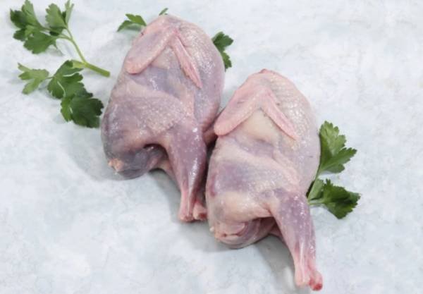 Benefits of Quail Meat